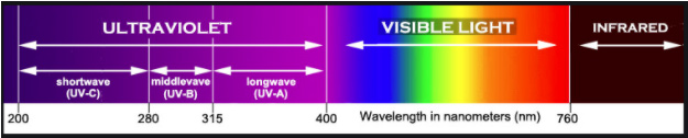 gavita light spectrum