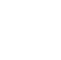 IP66 Logo